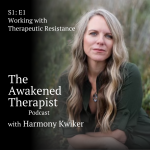 The Awakened Therapist The Awakened Therapist