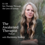 The Awakened Therapist The Awakened Therapist