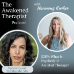 The Awakened Therapist The Awakened Therapist