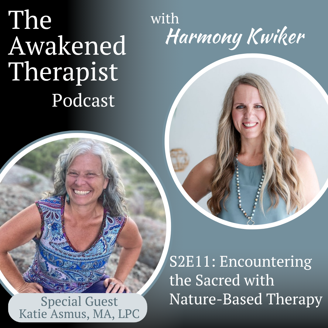 The Awakened Therapist