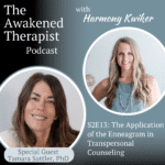 The Awakened Therapist The Awakened Therapist