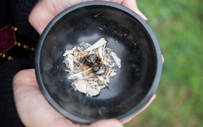 The Holistic Path: How Therapists Can Blend Energy Medicine and Psychotherapy